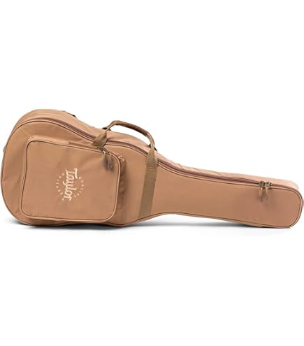 Amazon.com: Taylor Academy 12e